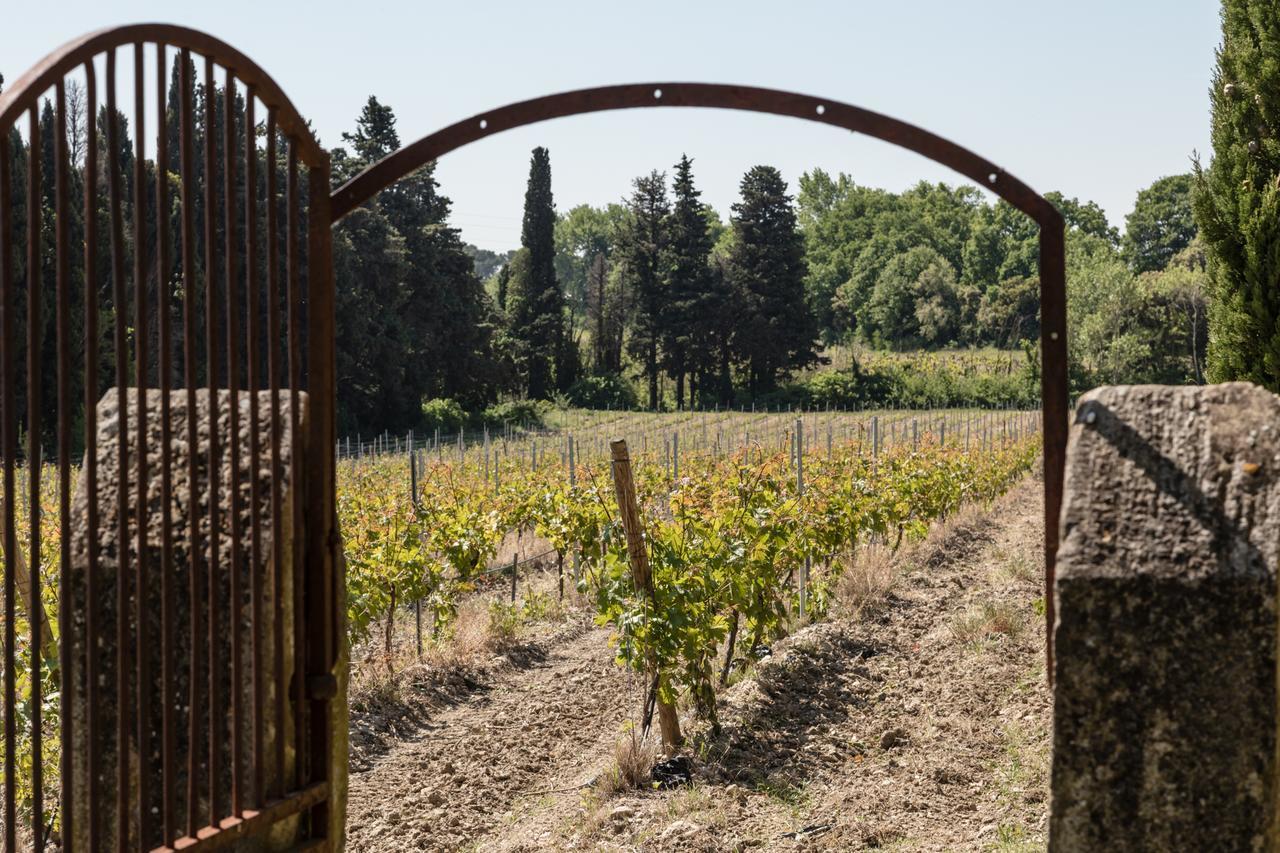 Chateau Des Cinq Cantons Carpentras Eksteriør billede